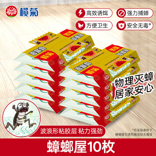榄菊蟑螂屋10片通杀厨房饭店