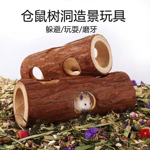 洁西仓鼠躲避木屋造景解闷打洞