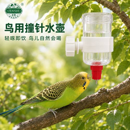 洁西撞针水壶鸟用饮水器喂食器大容量旋钮式虎皮鹦鹉小太阳玄凤