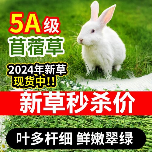 洁西烘干苜蓿草草香浓郁适口性好