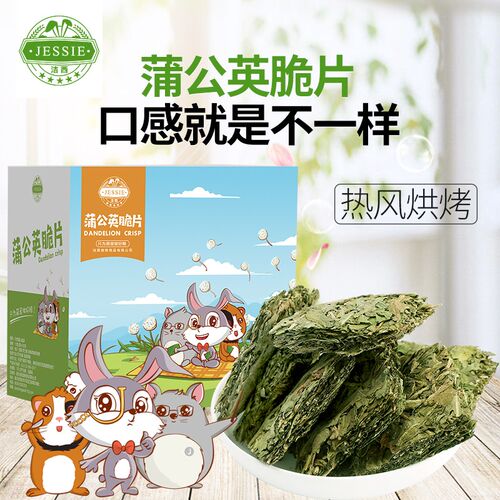 洁西jessie蒲公英片装天竺鼠