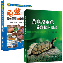 黄喉拟水龟养殖技术图谱+龟鳖高效养殖与疾病防治技术 全2册 养殖技术大全书籍 养殖书 水产养殖技术书籍 乌龟王八养殖书籍