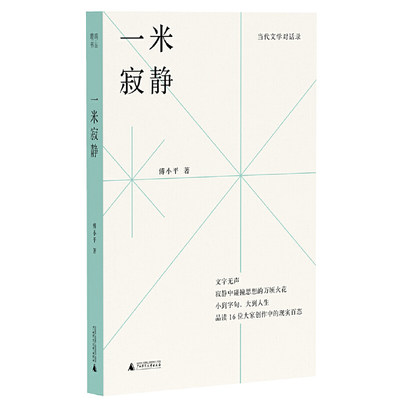 一米寂静 莫言马原叶兆言苏童毕飞宇李洱贾平凹张贤亮张炜韩少功李锐李佩甫齐邦媛张大春高尔泰 当代文学对话录访问记访谈录评论