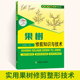 果树嫁接技术 果树修剪知识与技术 果树种植书籍大全农业书籍 果树管理 果树修剪书籍果树整形修剪技术