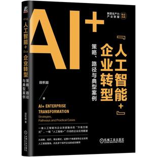 段积 策略路径与典型案例 著 从战略组织商业模式 管理学书籍 人工智能 运营4个维度解读人工智能落地 企业转型