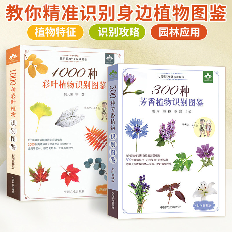 【全2册】300种芳香植物识别图鉴 彩图典藏版 云南省农业科学院花卉研究所 300种常见芳香植物分为木本及草本植物两大类 植物书籍
