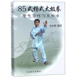 杨式 杨氏陈式 太极拳意气势练习及用法 太极拳武术研究养生气功健身书籍 太极拳真传形意拳套路太极内功述真书 安在峰 85式