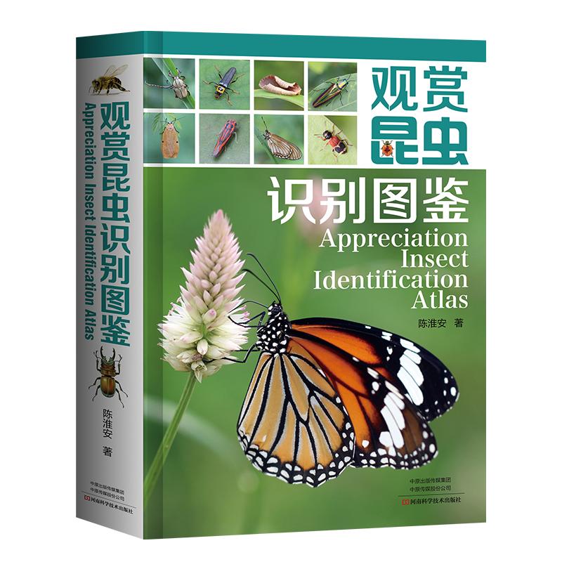 【1500余张高清彩图】观赏昆虫识别图鉴 陈淮安 近千首原创口诀 科普读物鳞翅目鞘翅目半翅目双翅目蜻蜓目膜翅目直翅目观赏昆虫