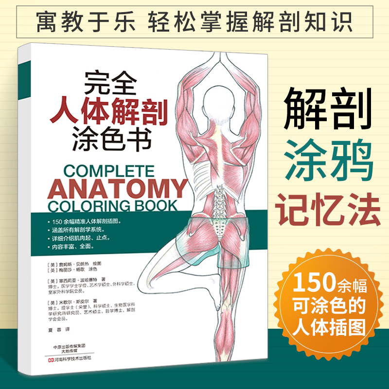 涂色大人素描基础教程绘画