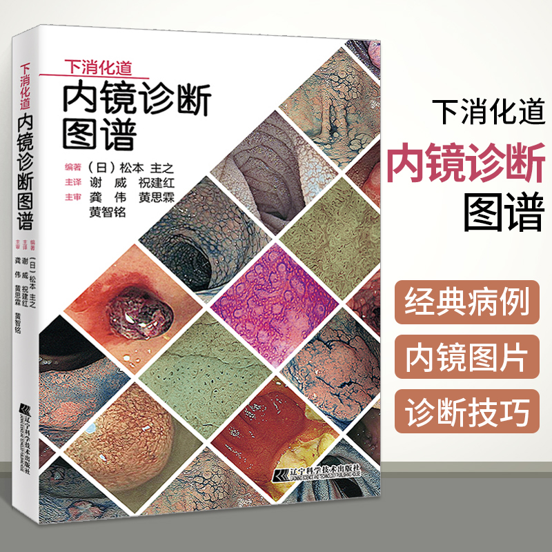 下消化道内镜诊断图谱 肠镜检查医学专业书籍胃与肠实用内科学消化内科疾病鉴别诊断学肿瘤病理机制临床诊疗思维书住院医师手册