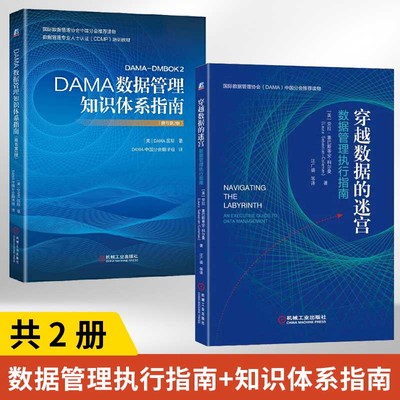 【全2册】穿越数据的迷宫 数据管理执行指南+DAMA数据管理知识体系指南（原书第2版DAMA的数据管理原则治理 DAMAOMBOK认证教材