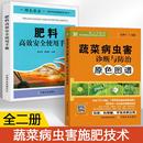 全2册 现代农业与肥料高效安全使用 蔬菜病虫害诊断与防治原色图谱 蔬菜种植技术 肥料生产加工技术 肥料高效安全使用手册