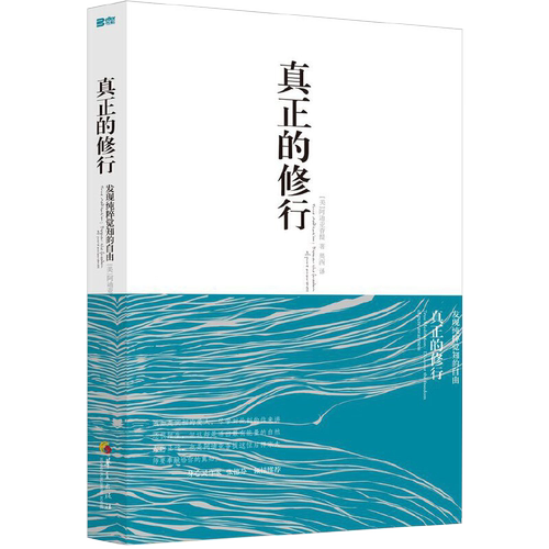 真正的修行 觉醒四部曲心理书籍心灵治愈修养修身养性的书籍 男女性心态心理疏导阿迪亚香提邀请你去觉醒于真实的自己