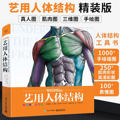 艺用人体结构精装版全彩艺用人体结构动态解剖人体结构书人体肌肉结构书人体结构教学艺用解剖学笔记指南骨骼肌肉造型基础教程书籍