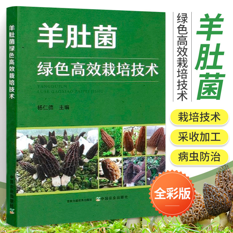 羊肚菌种植技术 羊肚菌绿色栽培技术 食用菌种植技术羊肚菌栽培技术书食用菌书籍病虫害防治农业种植采收加工菌类种子大棚种植大全图片