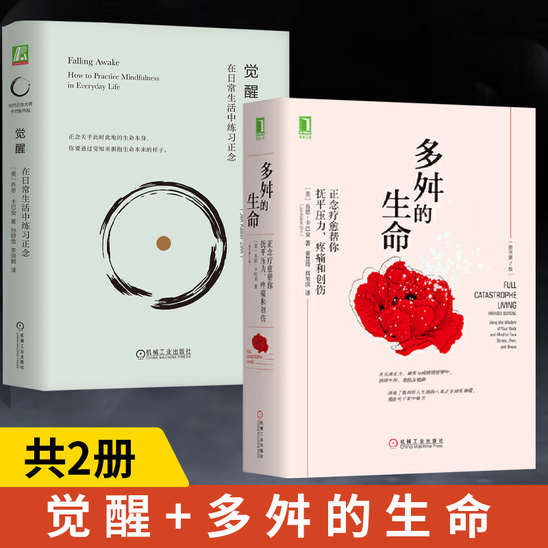 【全2册】觉醒 在日常生活中练习正念+多舛的生命:正念疗愈帮你抚平压力、疼痛和创伤(原书第2版) 心理学书籍