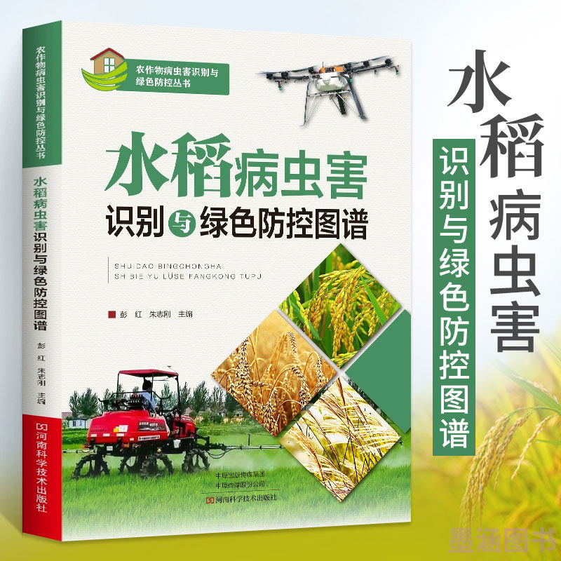水稻病虫害识别与绿色防控图谱 彭红 水稻种植水稻栽培技术水稻病虫草害诊断防治图谱 农作物病虫害快速诊治 36种主要病虫害书籍