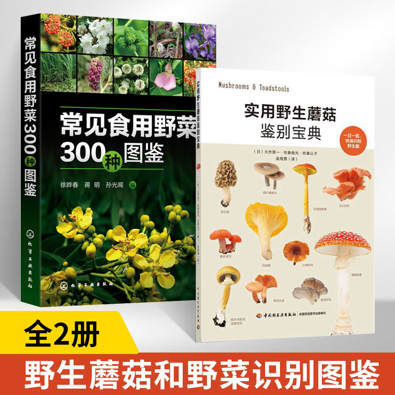 实用野生蘑菇鉴别宝典+常见食用野菜300种图鉴 全2册 野生蘑菇使用图鉴书籍 食用蘑菇菌菇松茸菌类野生菌野生毒蘑菇识别方法