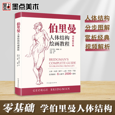 伯里曼人体结构绘画教程