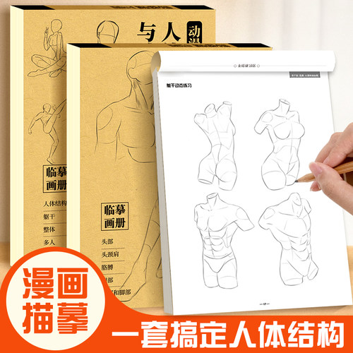 动漫中的人体结构与动态原理人物素描书零基础自学入门临摹画册