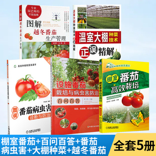 【全5册】棚室番茄高效栽培+百问百答+图说番茄病虫害+大棚种菜+越冬番茄 高效种植番茄书籍西红柿栽培技术大全书籍番茄种植技术书
