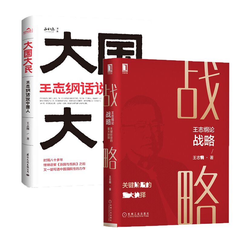 2册 王志纲论战略+大国大民 王志纲话说**人 战略认知战略分析战略制管理书籍战略管理 继林语堂吾国与吾民后新国民作品**书