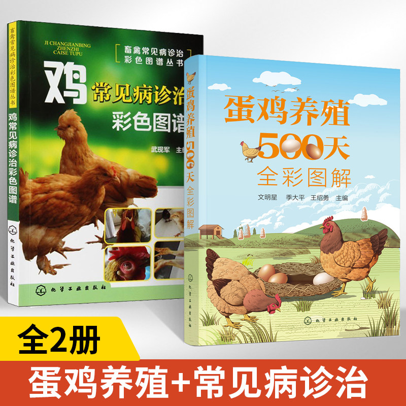 蛋鸡养殖500天全彩图解+鸡常见病诊治彩色图谱全2册养鸡技术书养殖书籍大全鸡病防治类症鉴别与诊治蛋鸡养殖一本通零基础学养鸡