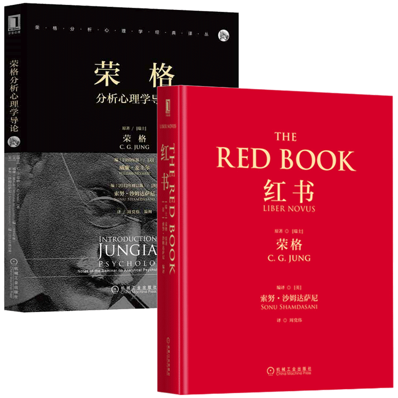 荣格分析心理学导论+红书 荣格分析心理学经典书籍教材入门基础教材与生活 社会发展心里学书心理类型人格面具弗洛伊德读心术分析