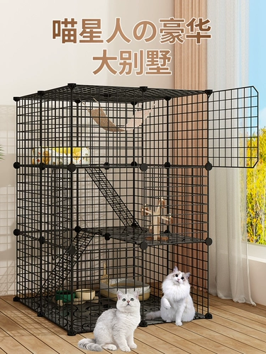 Обнаружение не занимает туалет кошки кошки, мяу, все пассажиры мяу