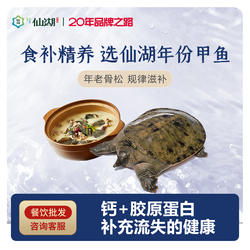 仙湖甲鱼3斤汉寿甲鱼6年鲜活食用自然生长中华鳖外塘水鱼生鲜食补