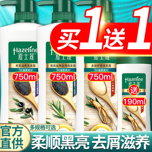 黑芝麻去屑止痒控油洗发水