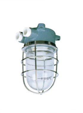 DS7-2M-A作业灯 轮船作业灯 代码792055   60W 220V作业灯