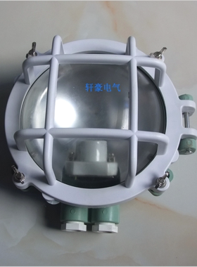 W作业灯 轮船作业灯 代码792066   60W    220V作业灯  W作业灯