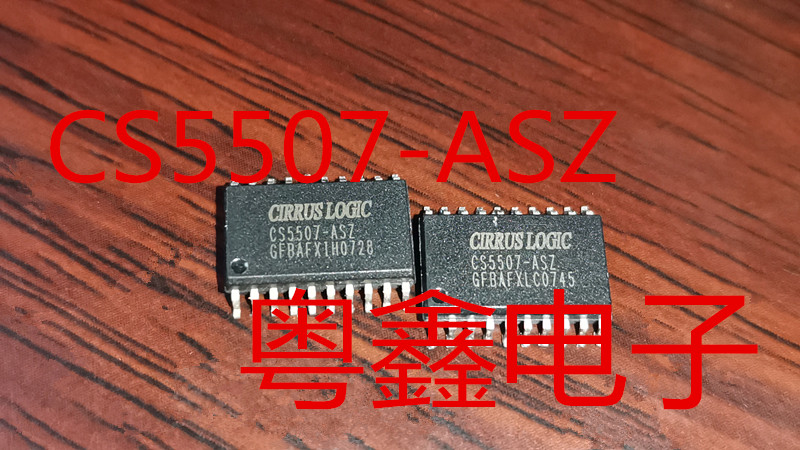 全新原装CS5507-ASZ CS5507-AS CS5507现货SOP20