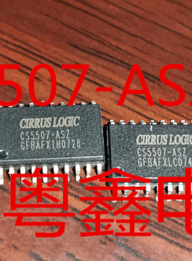 全新原装CS5507-ASZ CS5507-AS CS5507现货SOP20