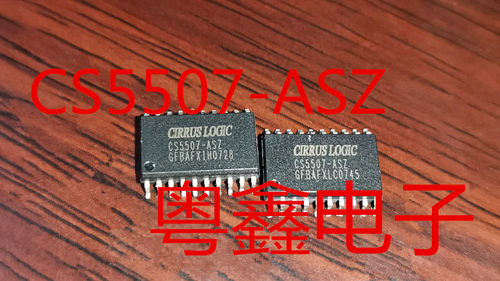 全新原装CS5507-ASZ CS5507-AS CS5507现货SOP20