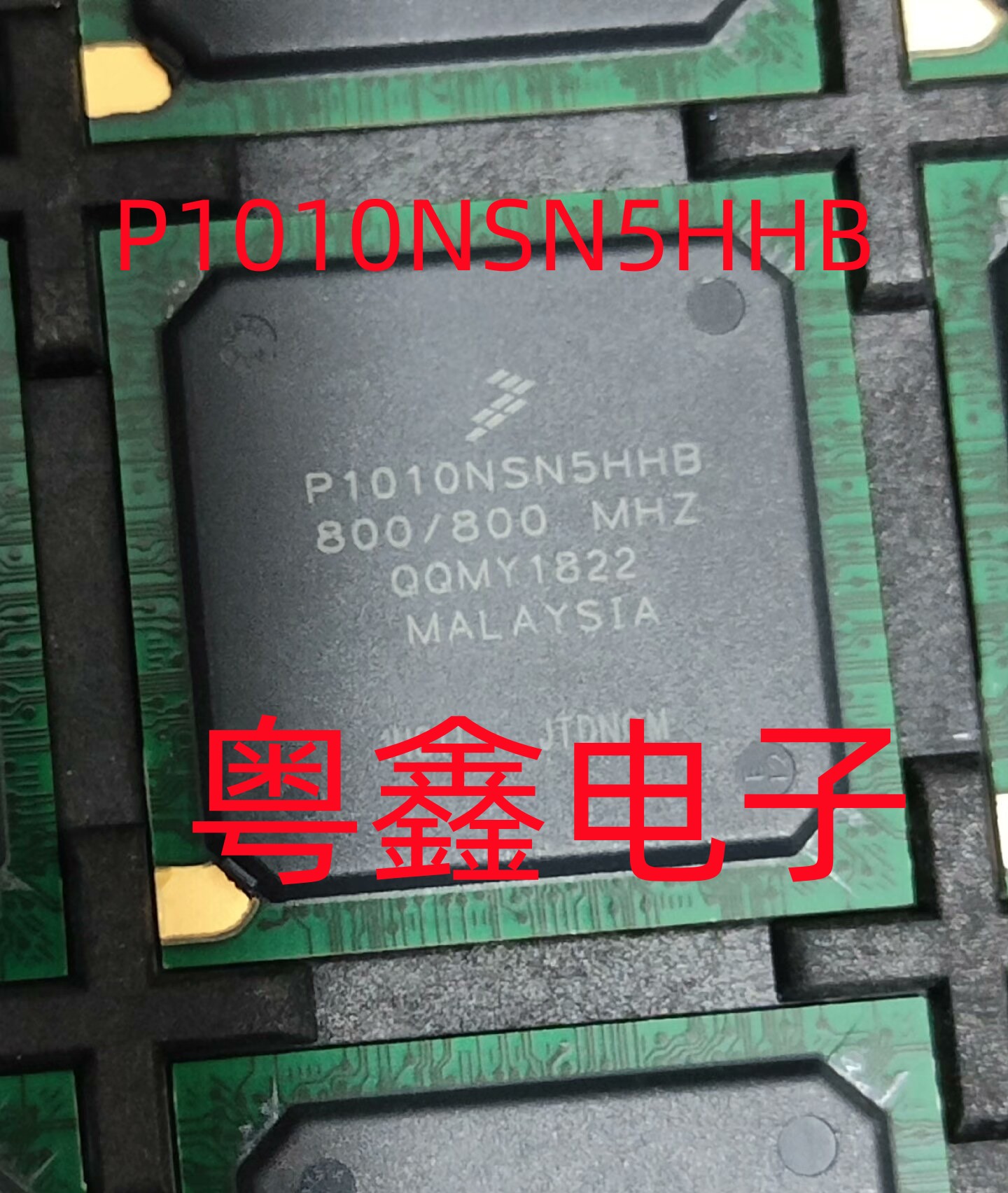 全新原装P1010NSN5HHA  P1010NXN5HHA现货热卖