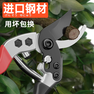 绿林果树修枝剪花剪日本进口工艺剪树枝专用剪刀园林花艺园艺剪刀