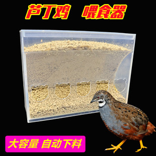 芦丁鸡食槽鹌鹑自动喂食器饮水器鹌鹑饲料防撒防溅鸟食盒透明食盒