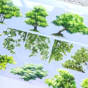 分装叶满冠亭亭如盖花满冠郁郁葱葱青枝绿叶树枝松柏长青手帐胶带