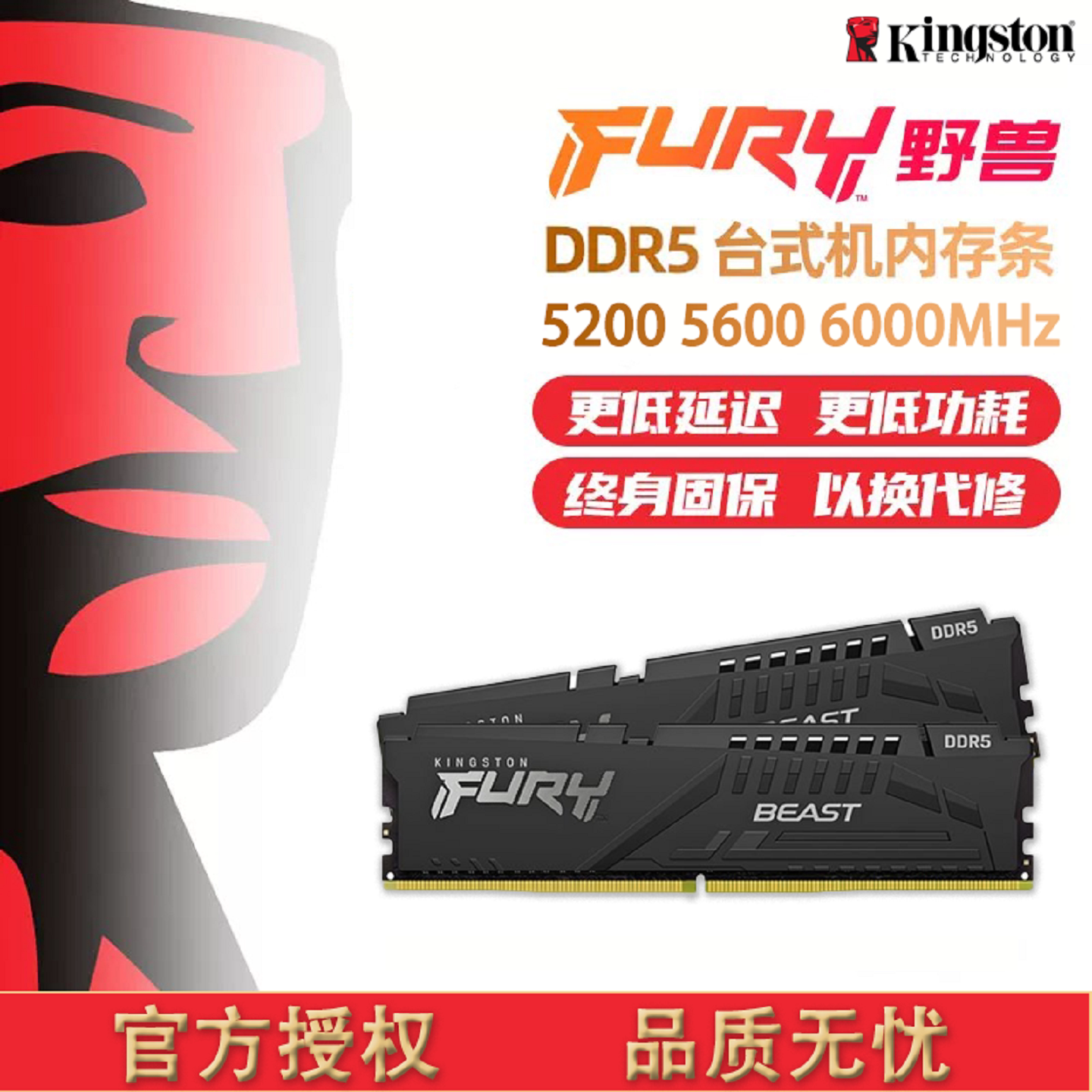 金士顿DDR5600016G台式机内存图片