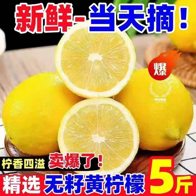 广东香水柠檬无籽新鲜当季鲜果奶茶专用新鲜黄柠檬商用批发非安岳