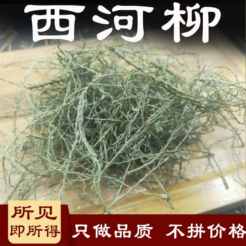 西河柳中药材500克怪柳丝柳观音柳山川柳红筋条三春柳西湖柳柽柳