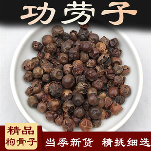 功劳子中药材500g十大功劳籽功劳树籽功劳子枸骨子猫儿刺另功劳叶