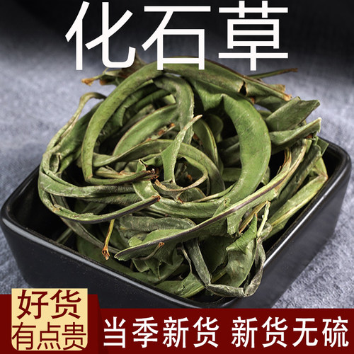 化石草中药材肾精草 化石茶 肾精茶 猫须草 猫须公 肾茶猫须草