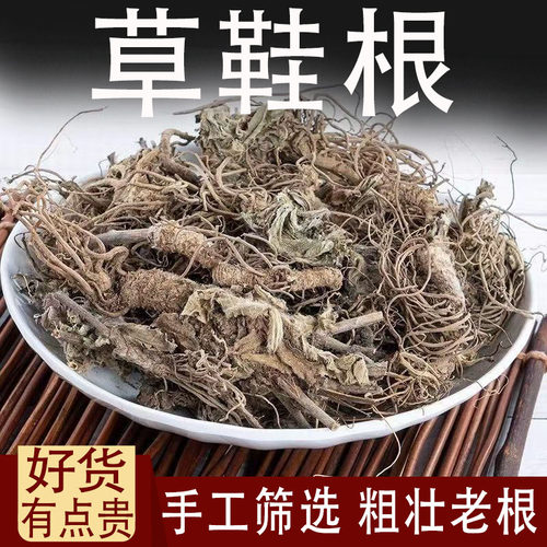 草鞋根中药材500克胆草根 头红花 地斩头 地胆头干净无杂