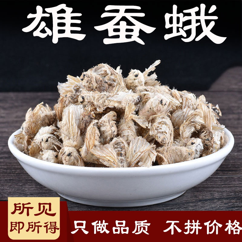雄蚕蛾中药材500g纯公蝉俄晚娥魏蚕峨未交配雄天蛾雄蚕蛾磨粉
