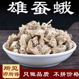 雄蚕蛾中药材500g纯公蝉俄晚娥魏蚕峨未交配雄天蛾雄蚕蛾磨粉