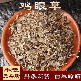 鸡眼草中药材掐不齐大字草公母草人字草瞎眼草妹子草红花草地兰草