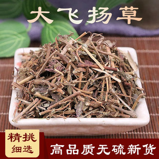 大飞扬草中药材500g克大飞羊飞扬节节花白乳草乳汁草大乳草金花草